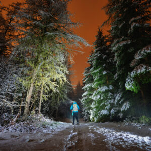 Snowshoeing Week Mont Blanc Valley - Image 7