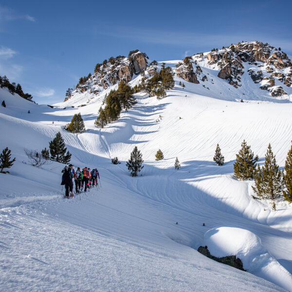 Snowshoeing day.